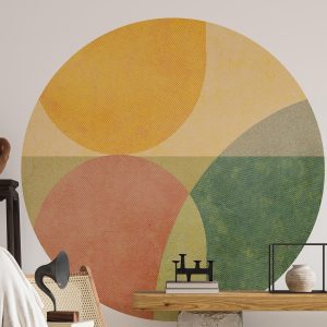 #151 / Colorful Harmony Mo.01